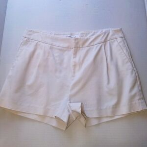 Everlane | Khaki Cotton Shorts,‎ size 6